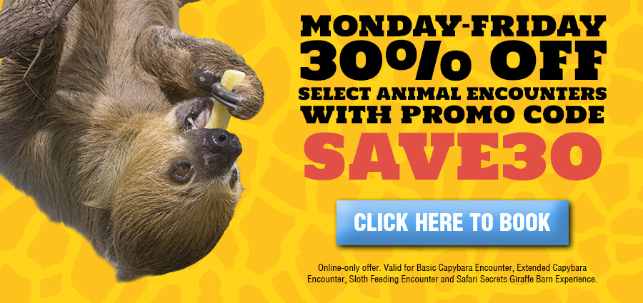 30% Off Weekend Encounters