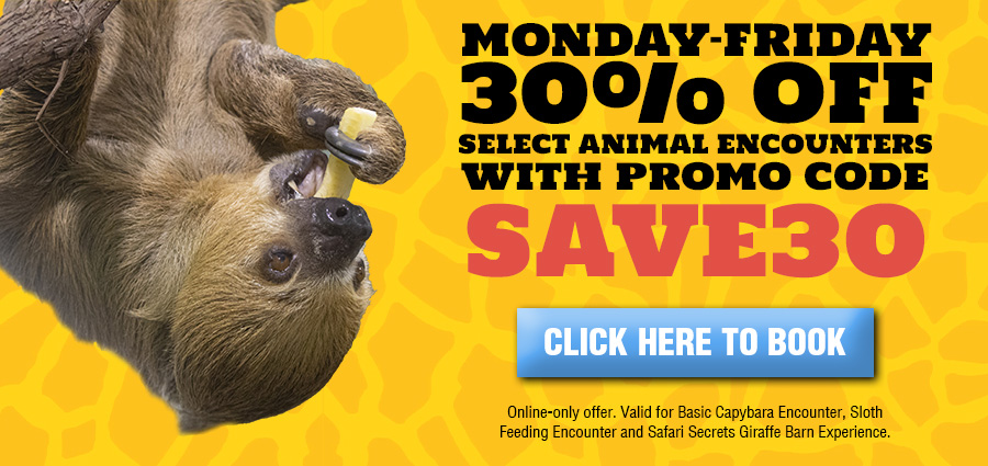 30% Off Weekend Encounters