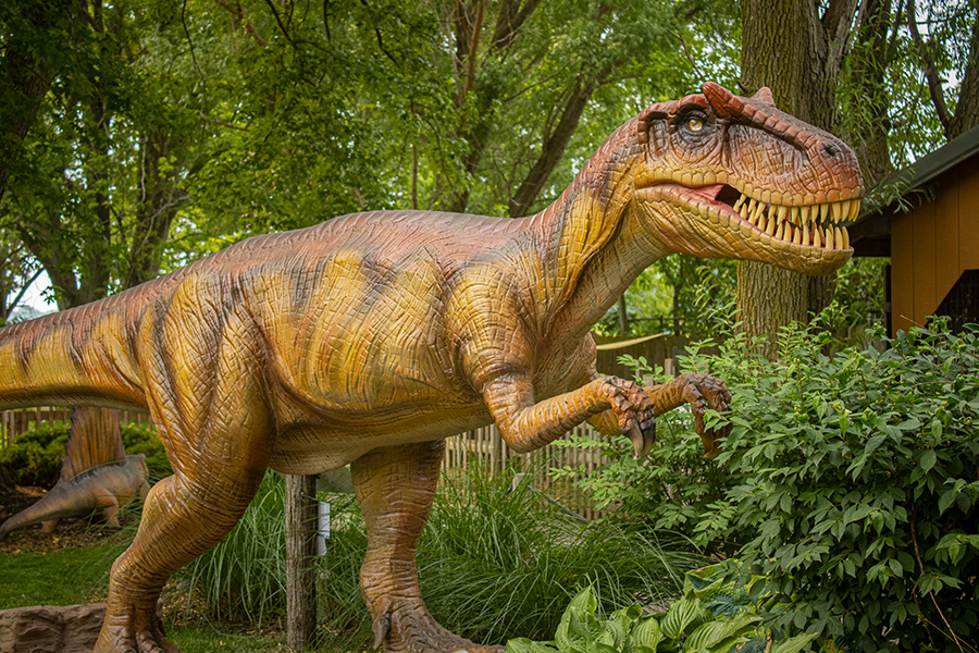 Allosaurus